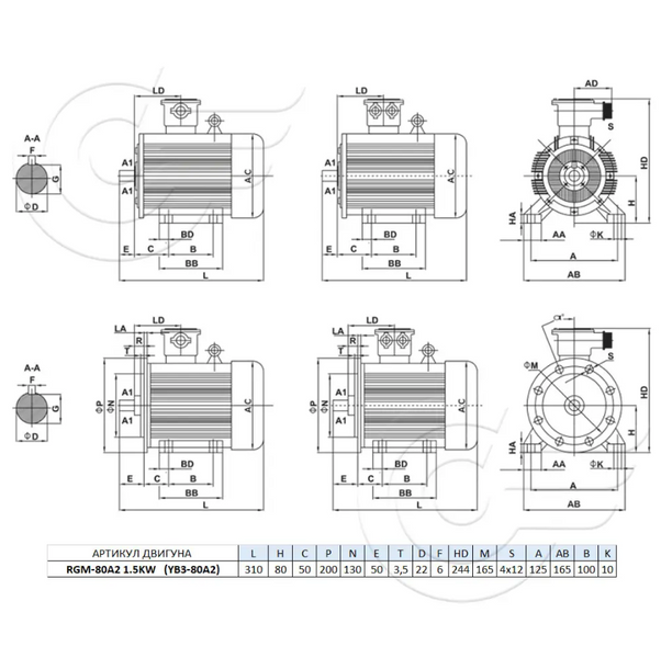 RGM-80A2 1.5 kW / 3000 rpm (ExdIIBT4Gb, 4VR, VAO, AIM, AIMM) RGM-80A2 photo