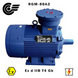 RGM-80A2 1.5 kW / 3000 rpm (ExdIIBT4Gb, 4VR, VAO, AIM, AIMM) RGM-80A2 photo 1