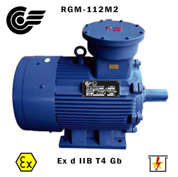 RGM-112M2 7,5 кВт / 3000 об/хв (ExdIIBT4Gb, 4ВР, ВАО, АИМ, АИММ) RGM-112M2 фото