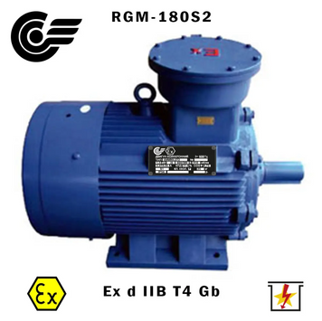 RGM-180S2 22 кВт / 3000 об/хв (ExdIIBT4Gb, 4ВР, ВАО, АИМ, АИММ) RGM-180S2 фото