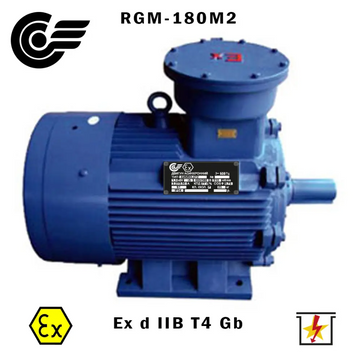 RGM-180M2 30 кВт / 3000 об/хв (ExdIIBT4Gb, 4ВР, ВАО, АИМ, АИММ) RGM-180M2 фото
