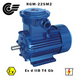 RGM-225M2 55 кВт / 3000 об/хв (ExdIIBT4Gb, 4ВР, ВАО, АИМ, АИММ) RGM-225M2 фото 2