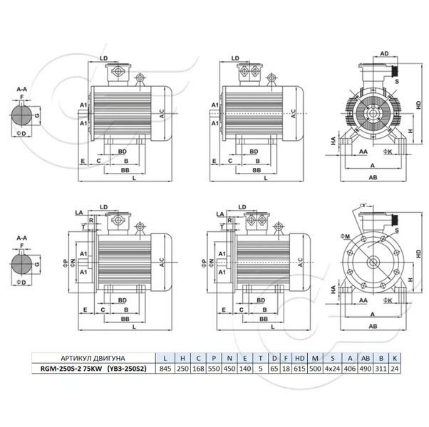 RGM-250S2 75 кВт / 3000 об/хв (ExdIIBT4Gb, 4ВР, ВАО, АИМ, АИММ) RGM-250S2 фото
