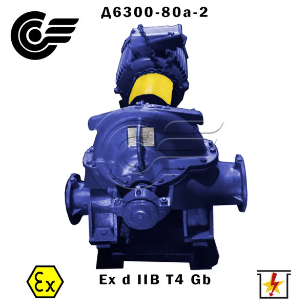 Centrifugal Pump D6300-80a-2 (800 kW / 600 rpm) Д6300-80а-2 photo