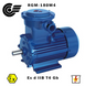 RGM-180M4 30 kW / 1500 rpm (ExdIIBT4Gb, 4VR, VAO, AIM, AIMM) RGM-180M4 photo 2