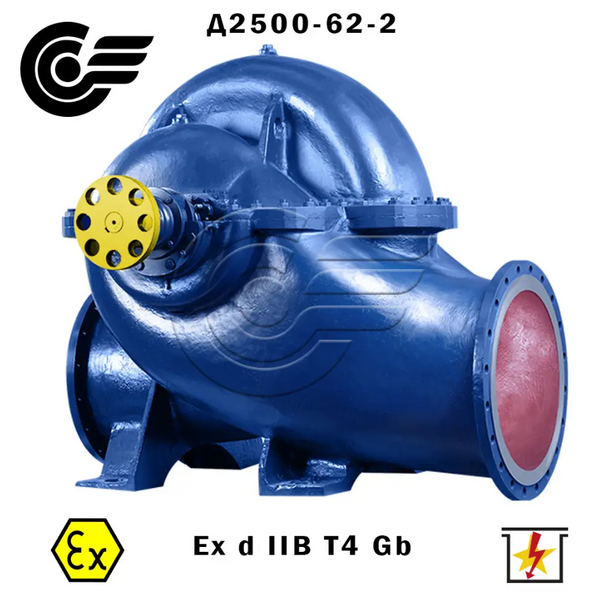 Centrifugal Pump D2500-62-2 (250 kW / 750 rpm) Д2500-62-2 photo