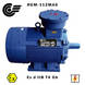 RGM-112MA6 3 kW / 1000 rpm (ExdIIBT4Gb, 4VR, VAO, AIM, AIMM) RGM-112MA6 photo 1