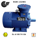 RGM-132M6 7.5 kW / 1000 rpm (ExdIIBT4Gb, 4VR, VAO, AIM, AIMM) RGM-132M6 photo 1